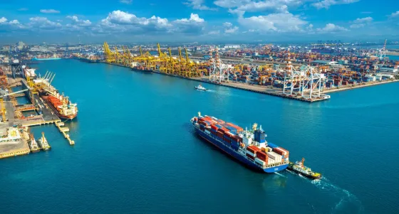 Fuel Prices and the Growing Pressure on Coffee Exports