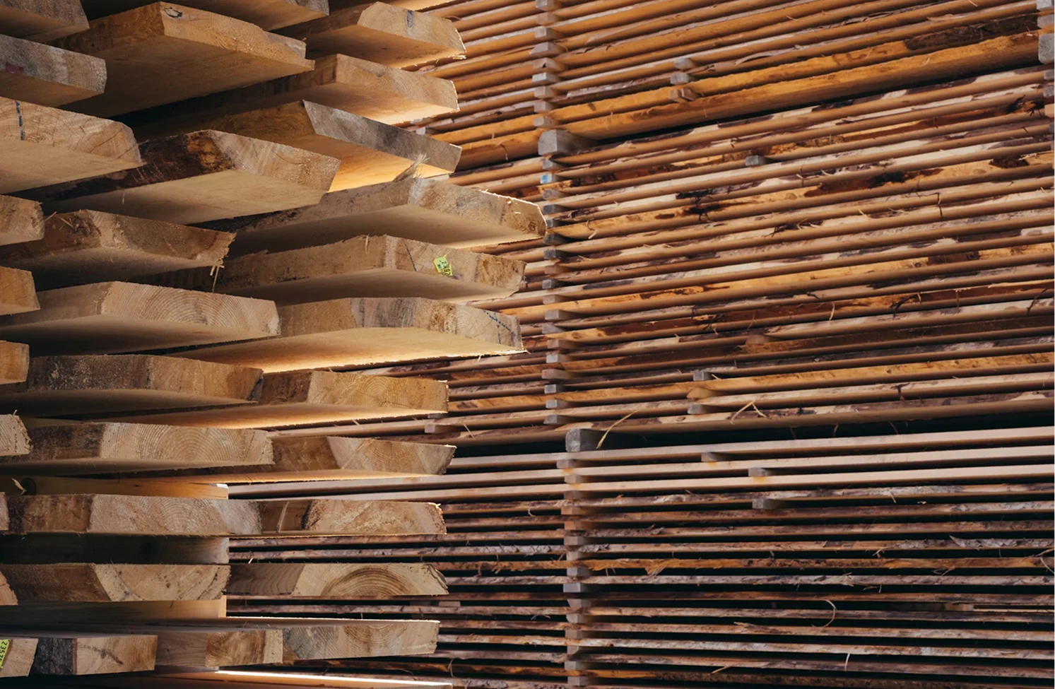 Material Selection