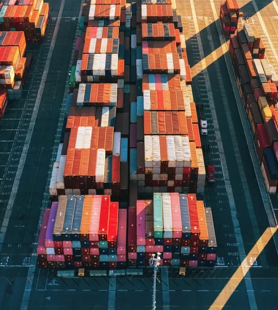 Export Business Model Development