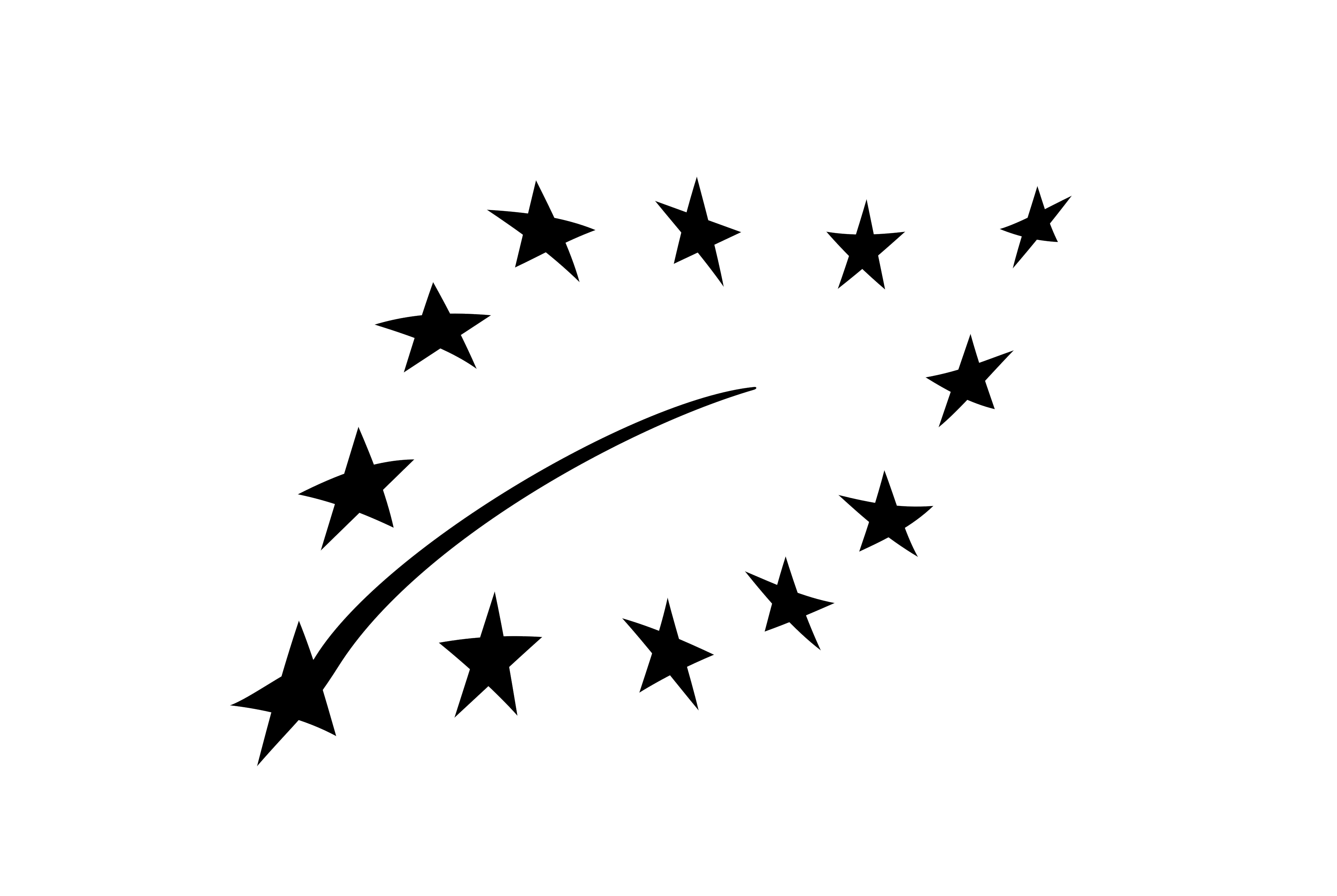 partner