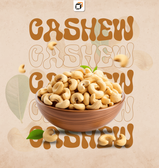 Raw Cashew Nuts vs Cashew Kernels: Key Differences Every Importer Should Know