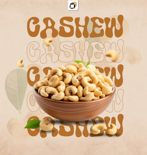Raw Cashew Nuts vs Cashew Kernels: Key Differences Every Importer Should Know