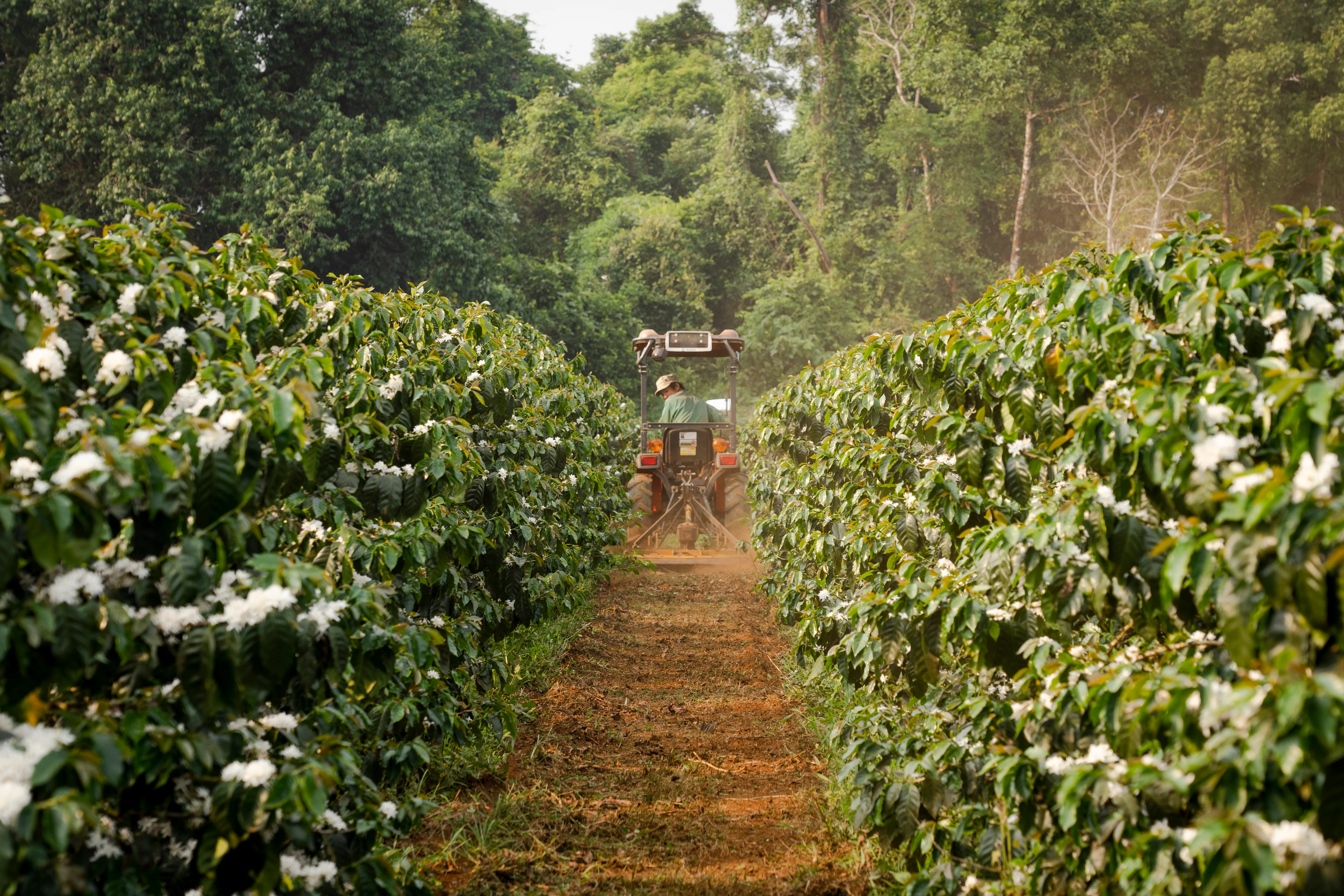 Direct Terroir Control & Price Stability